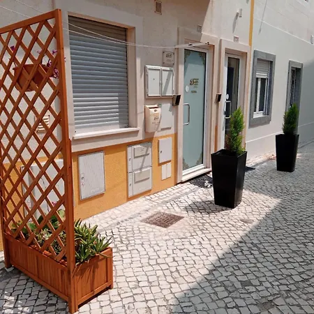 Ferhouse Dreams Patria