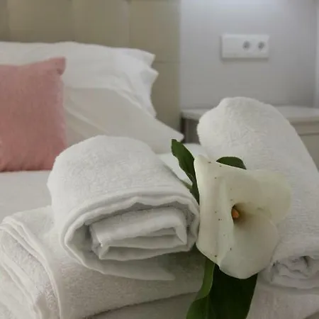 Ferhouse Dreams Patria