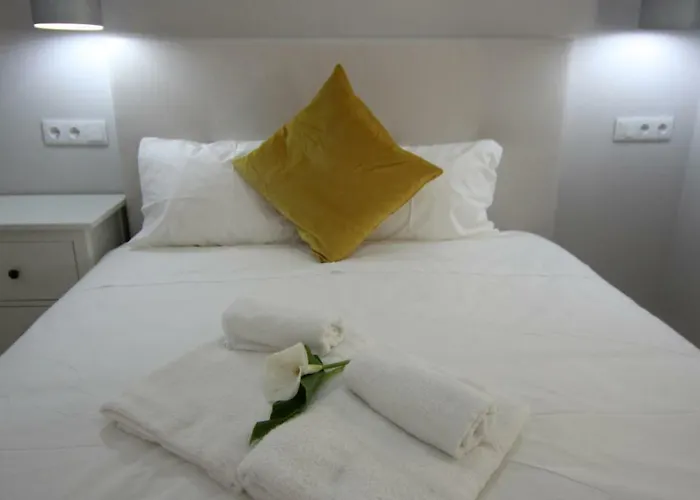 Ferhouse Dreams Patria *