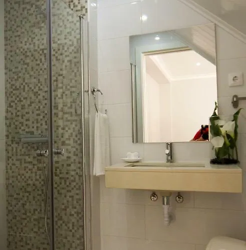 Ferhouse Dreams Patria ナザレ